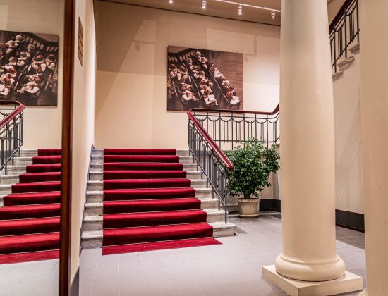 Tartu Luterlik Peetri Kool